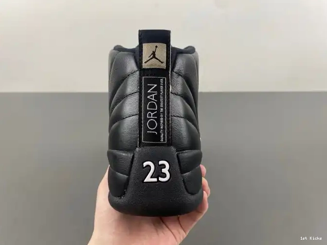 The 130690-013 Jordan Retro Master 12 Air 0522
